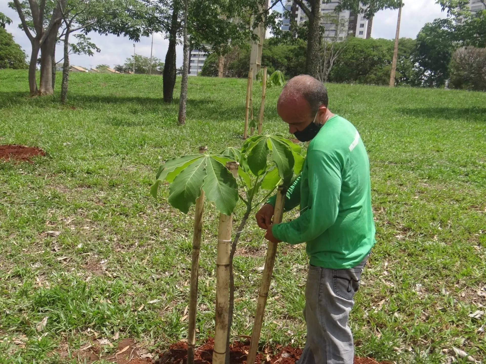 Responsabilidade Social e Ambiental